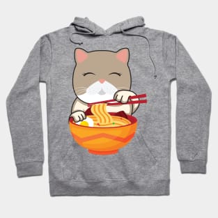 'Kawaii Anime Cat Ramen' Cool Japanese Cats Hoodie